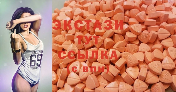 шишки Ельня